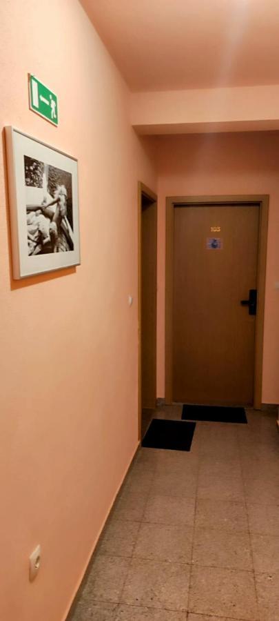 Villa Dm Baška Voda Εξωτερικό φωτογραφία